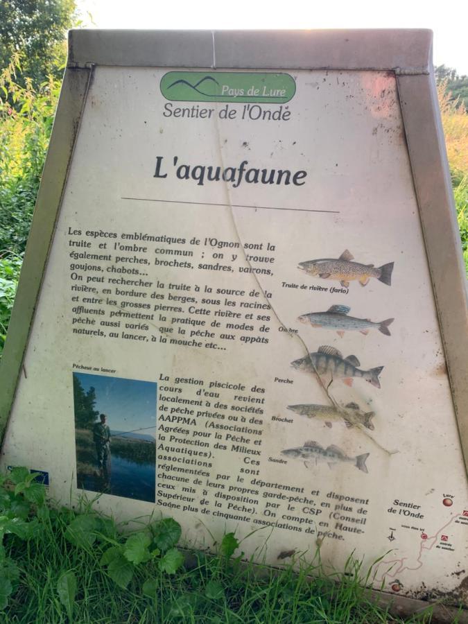 Les Jardins D'Elise, Calme Et Verdure A Lure Lure  Exteriér fotografie